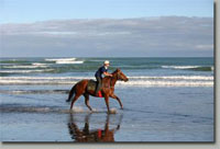 Horseback Riding