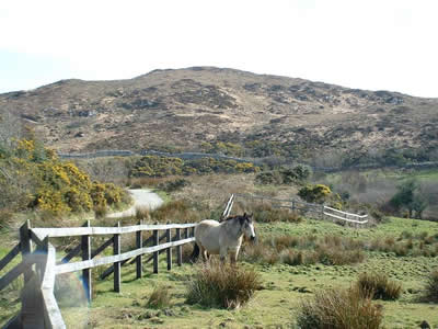  Connemara National Park