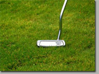 Pitch & Putt